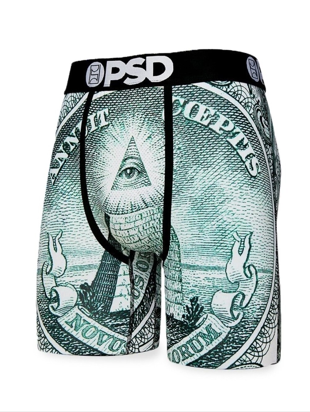 PSD Men / Unisex Green Teal Dollar Bill Pyramid Print Boxer Briefs